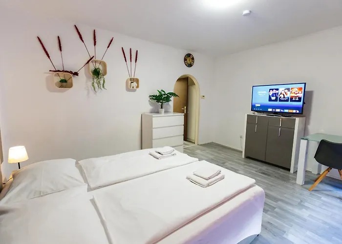 Helles Altbau-studio Nahe Yppenplatz & U6 * Vienna